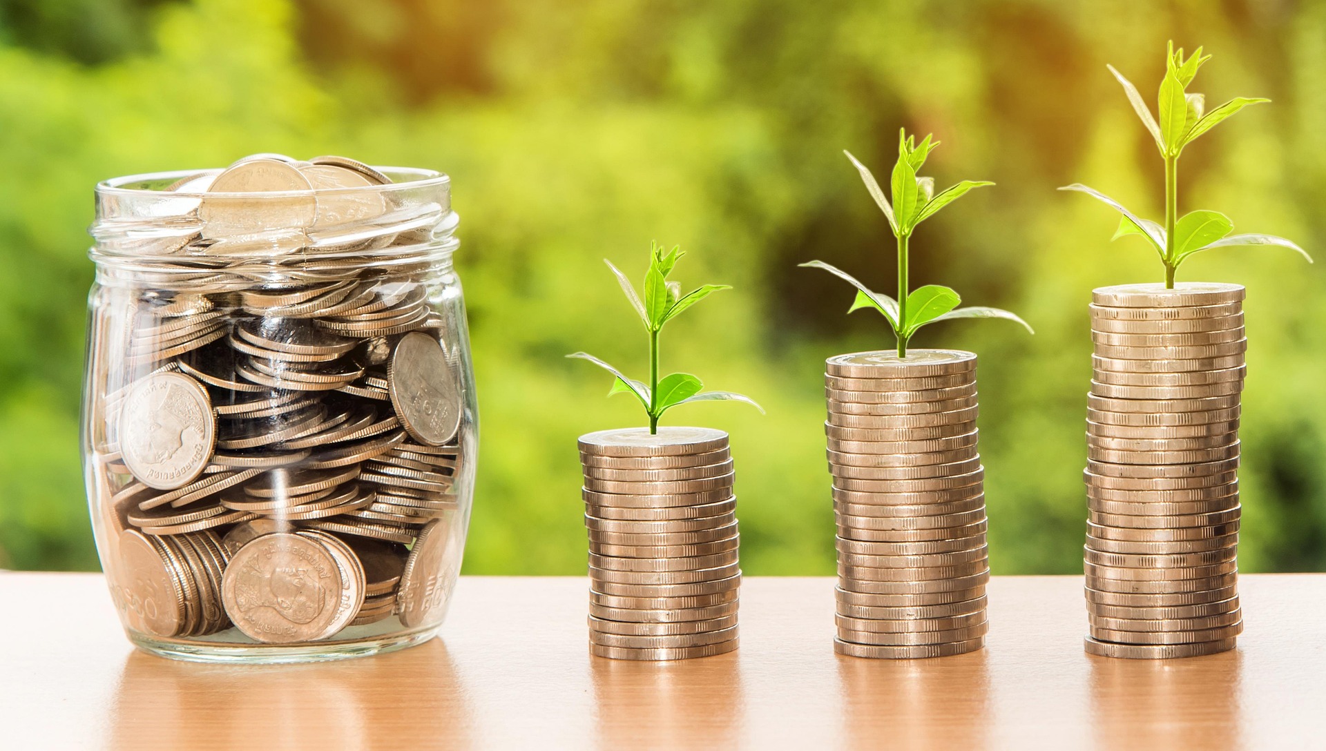 Wealth-Building Strategies for Young Professionals: How to Grow Your Net Worth