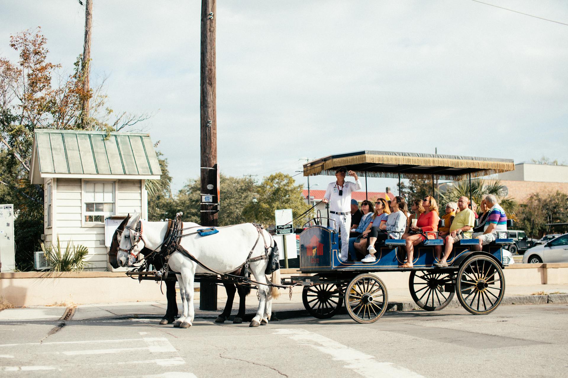 Top 5 Guided Family Tours for an Easy & Fun-Filled Vacation