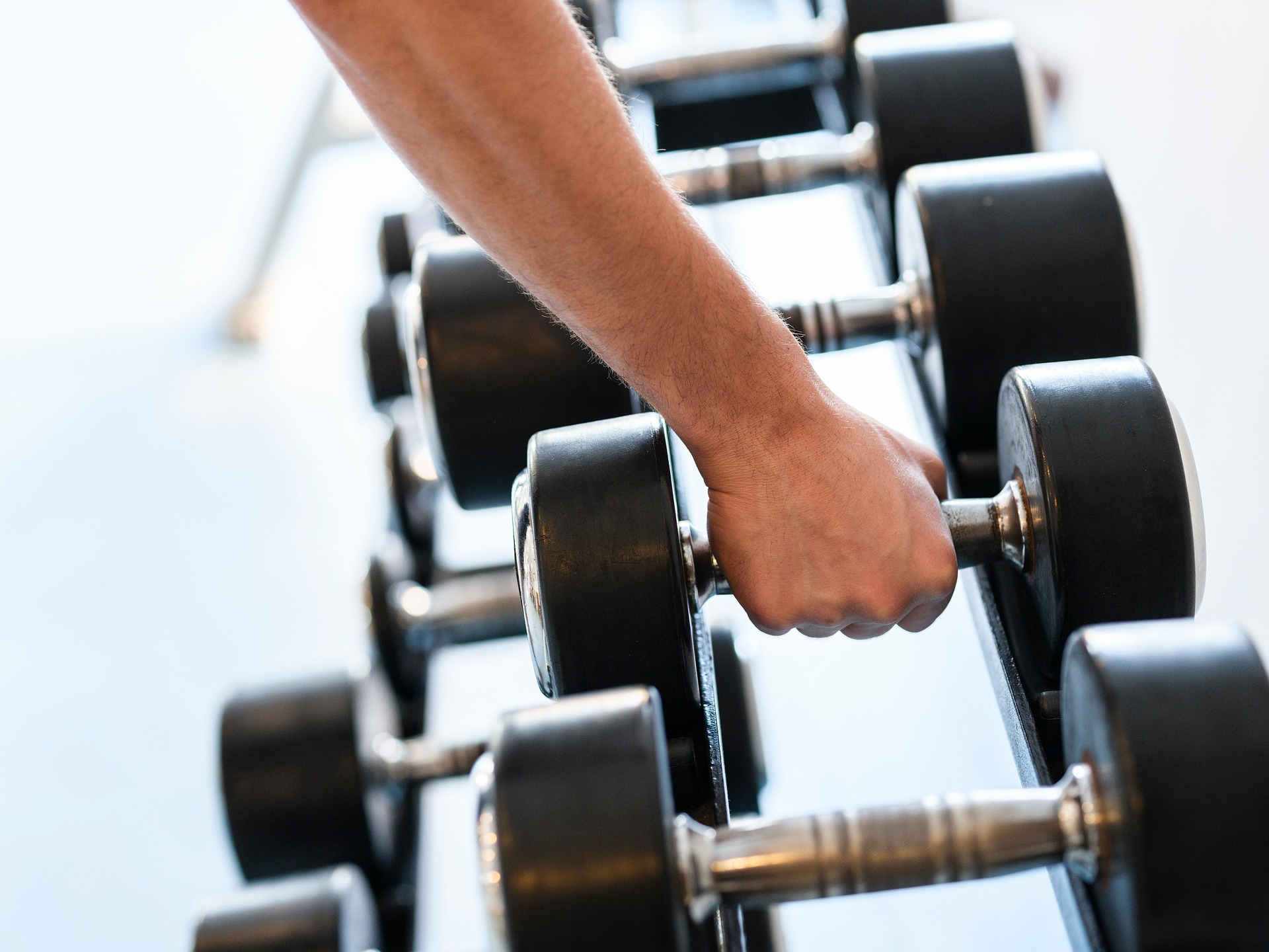 Strength Training 101: The Beginner’s Guide to Building Muscle and Boosting Fitness